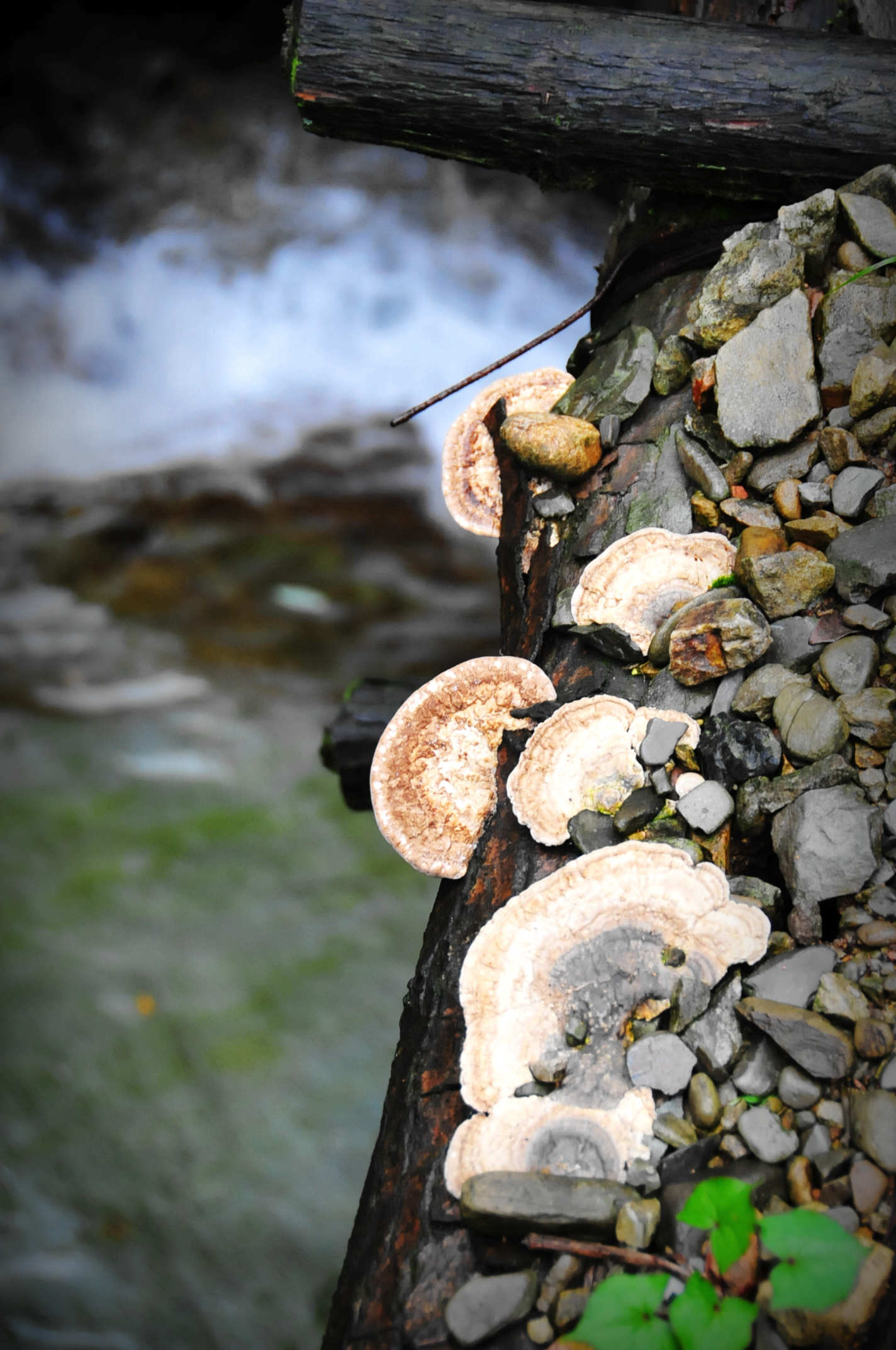 S01_4537_����.jpg
