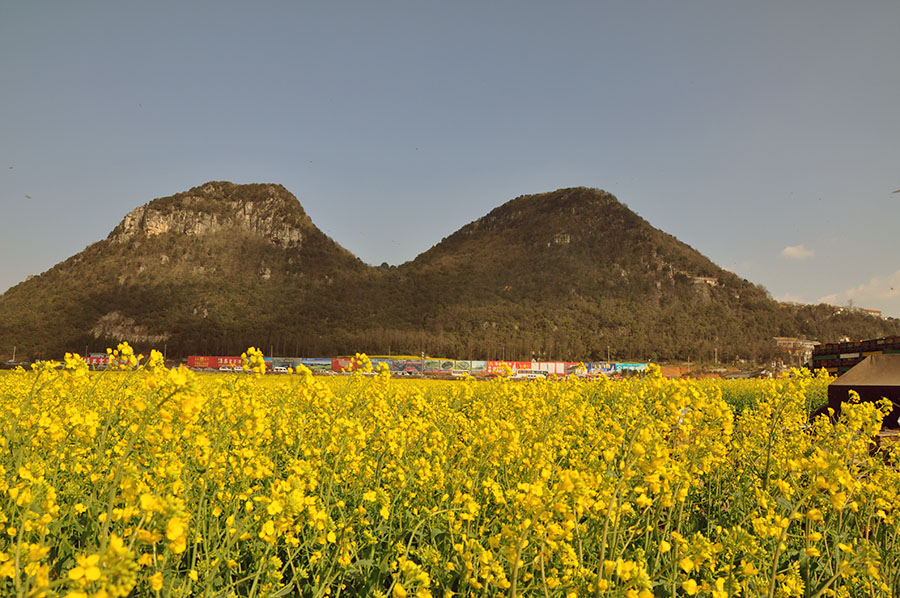 DSC_0030.JPG