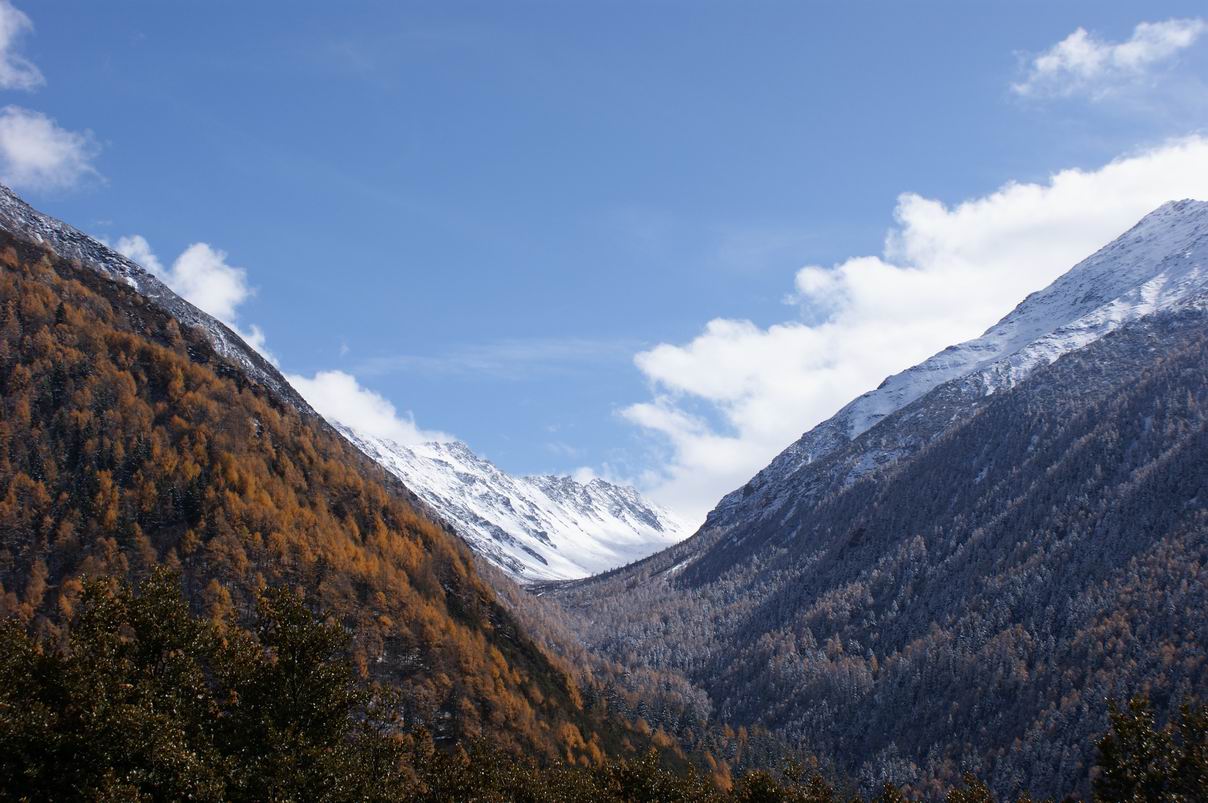 ������С DSC00767.JPG