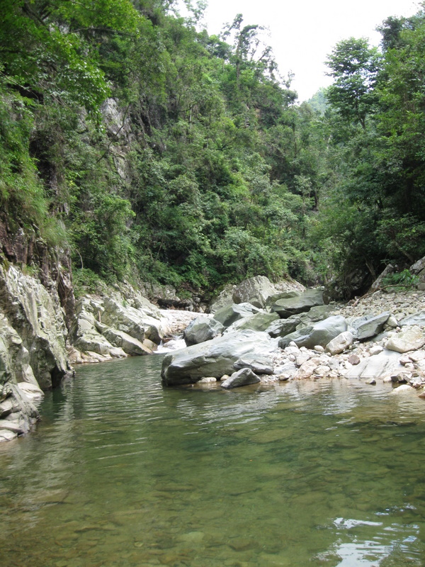IMG_4687.JPG