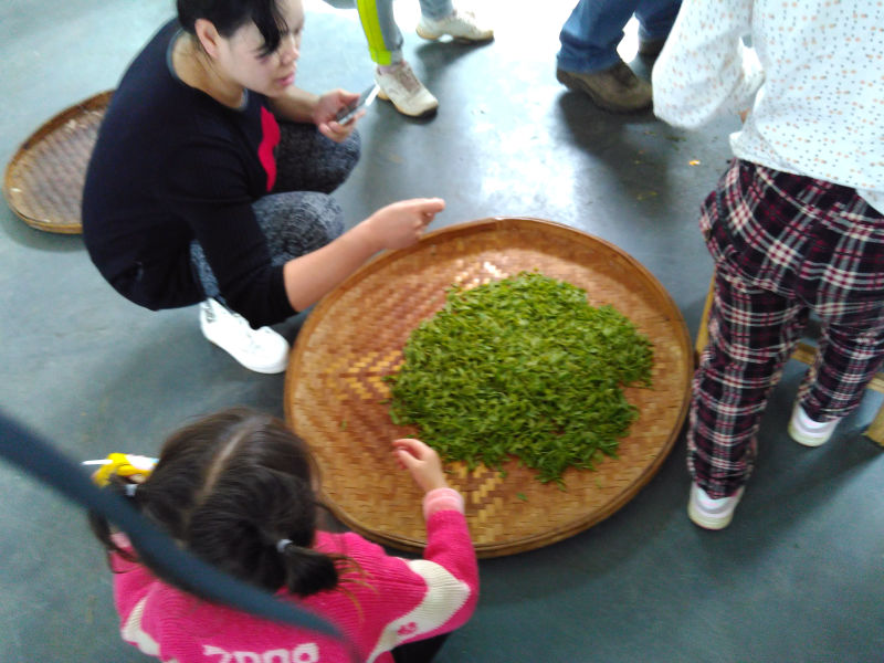 IMG_20150412_144519.jpg