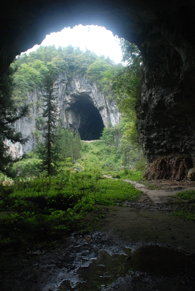 DSC_0427.jpg