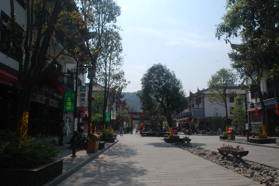 DSC_0511.jpg