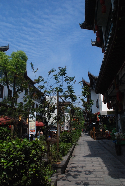 DSC_0571.jpg