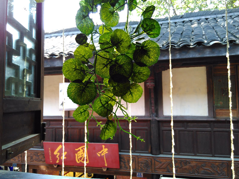 IMG_20150502_111652.jpg