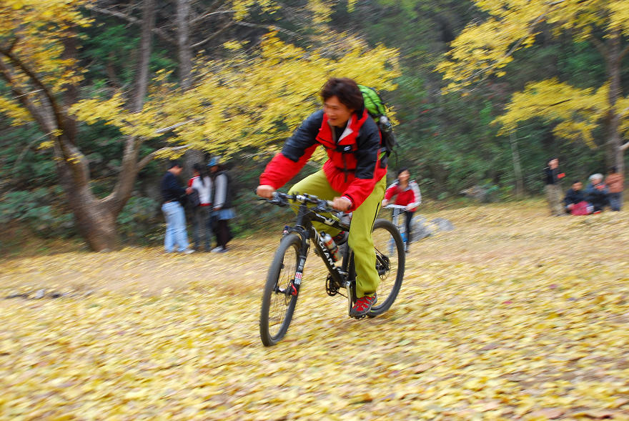 nEO_IMG_DSC_3312.jpg