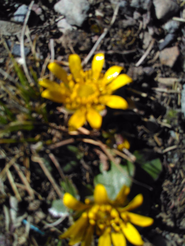 IMG_20150504_092423.jpg
