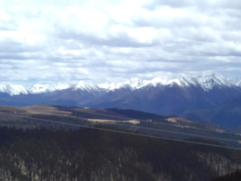 IMG_20150504_131644.jpg