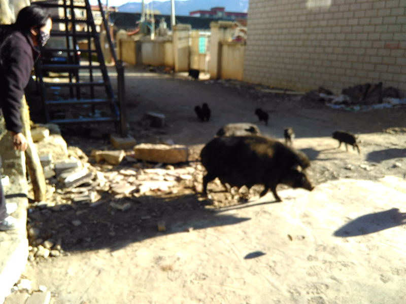 IMG_20150505_074306.jpg