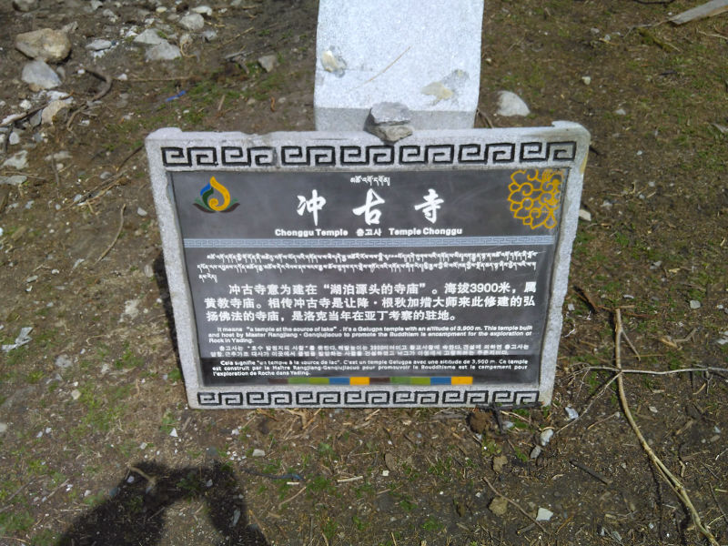 IMG_20150506_153202.jpg