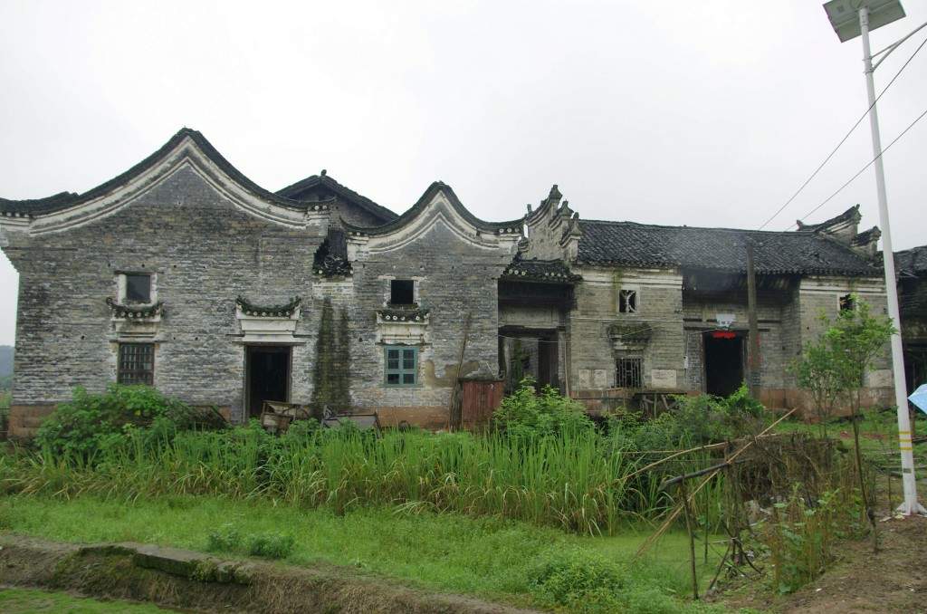 conew__igp8894.jpg