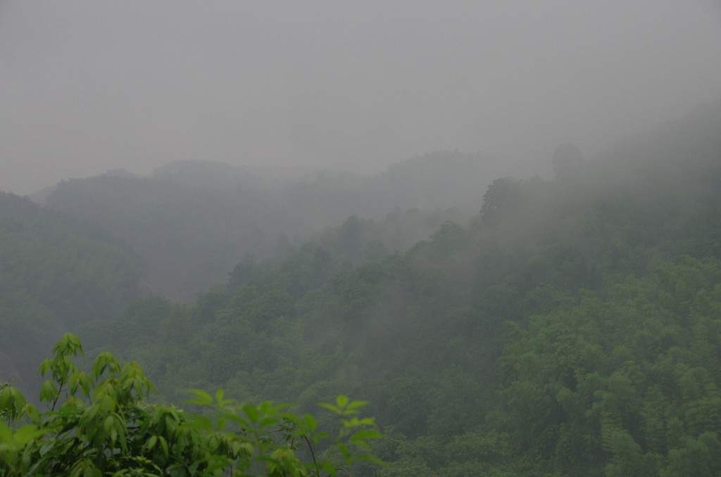 conew__igp8951.jpg