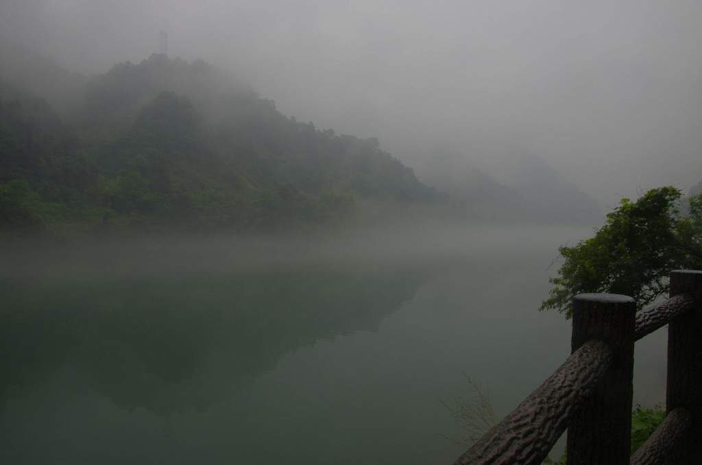 conew__igp9216.jpg