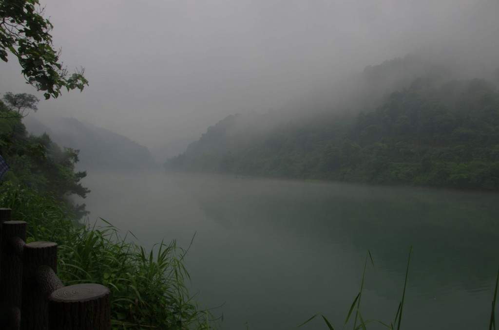 conew__igp9209.jpg