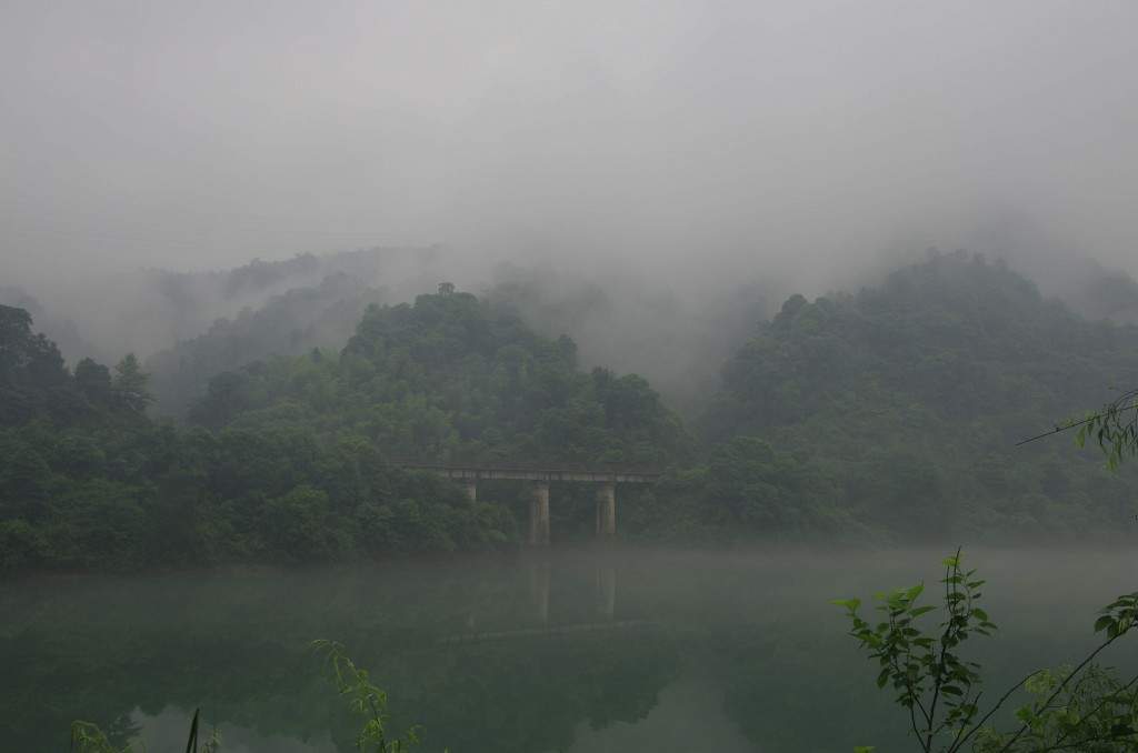 conew__igp9230.jpg