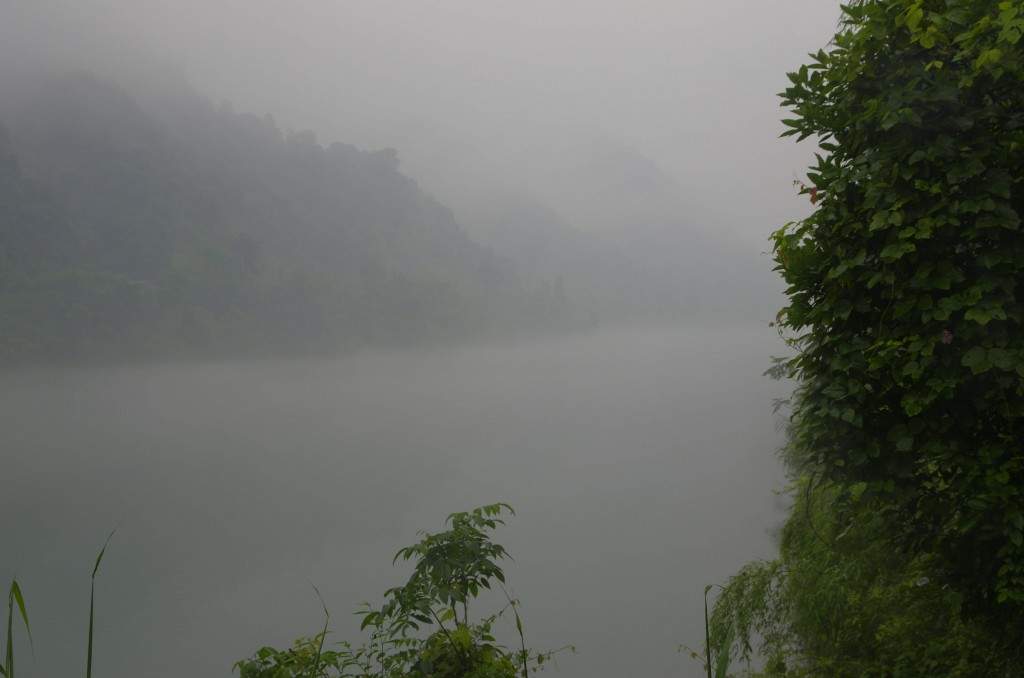 conew__igp9203.jpg