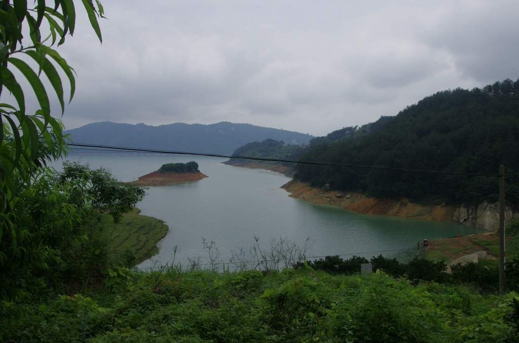 conew__igp9322.jpg