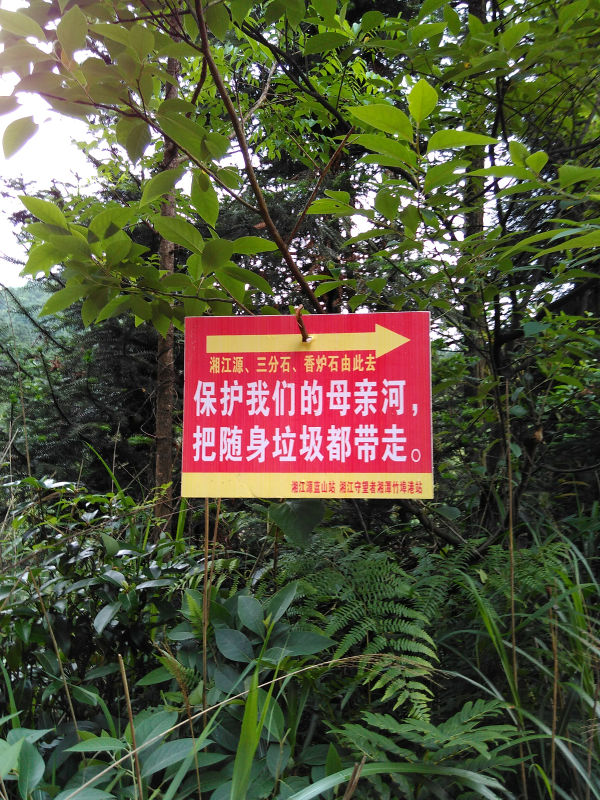 IMG_20150606_121154.jpg
