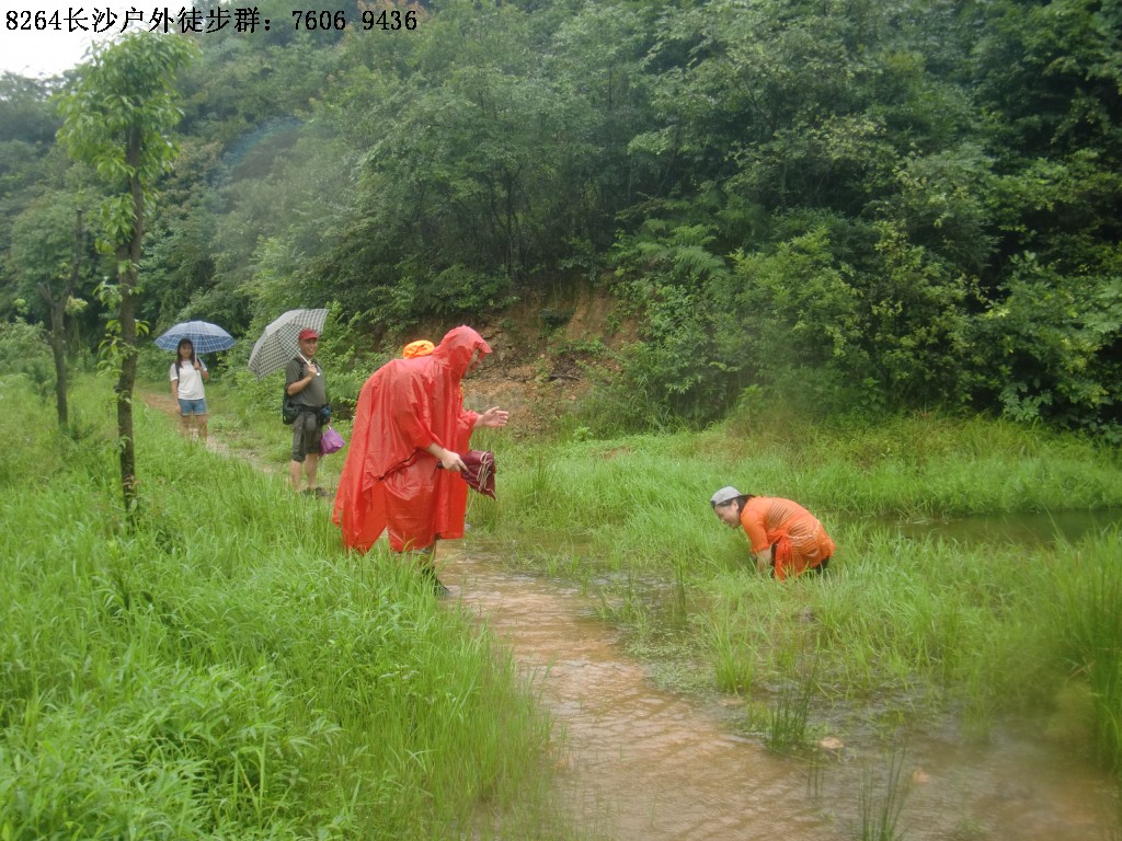 CIMG2424.jpg
