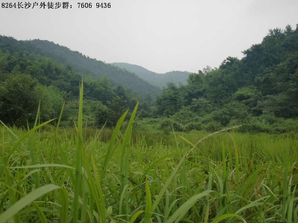 CIMG3346.jpg