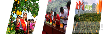 ������ս.png