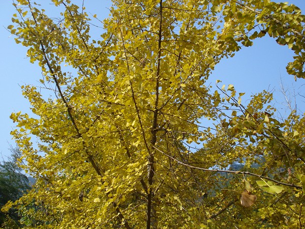 DSC08359.jpg