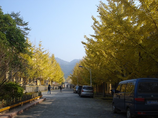 DSC08417.jpg