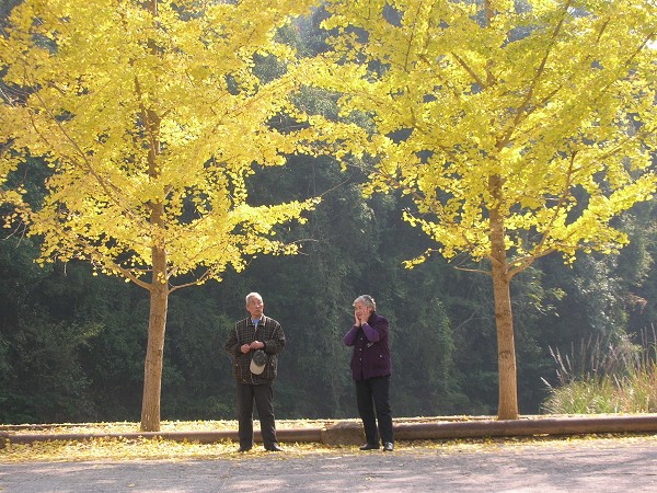 DSCN5326.jpg