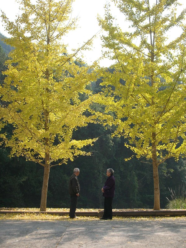 DSCN5329.jpg
