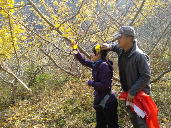 DSC08385.jpg