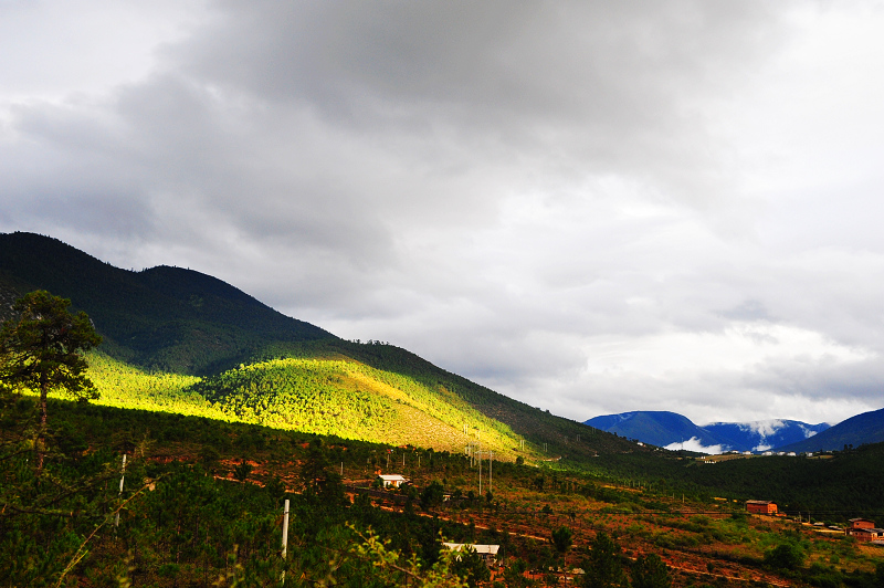 DSC_4972.JPG