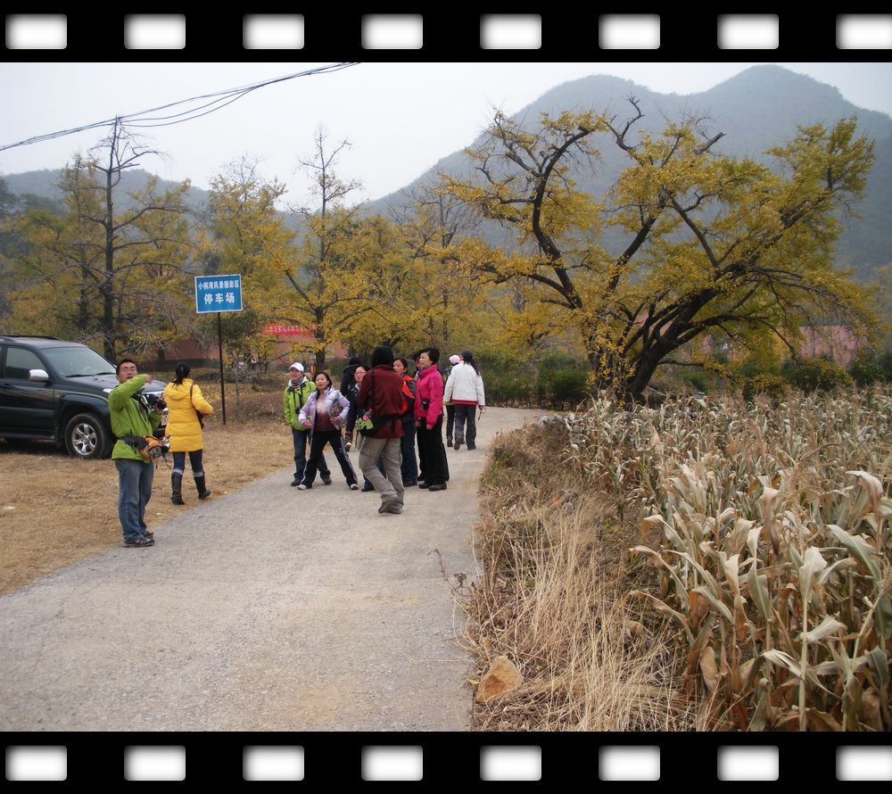 nEO_IMG_DSCN7009.jpg