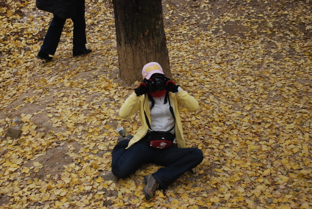 DSC_0087.JPG