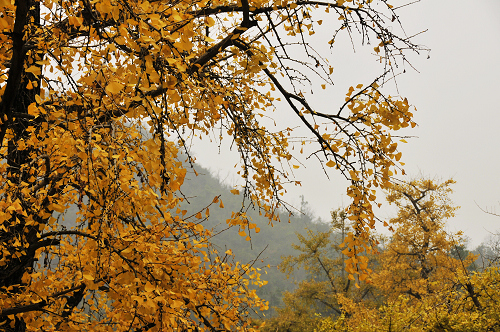_DSC4684.jpg