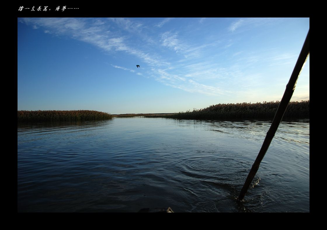DSC_9066.jpg