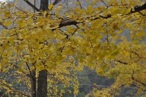 DSC_0563_������С.jpg