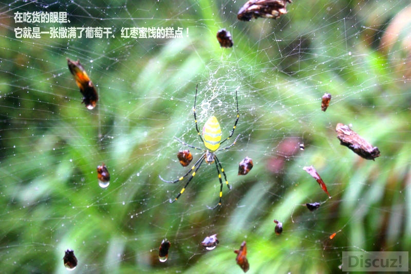 �ڳԻ������������һ�����������Ѹɡ������۽��ĸ�㣡