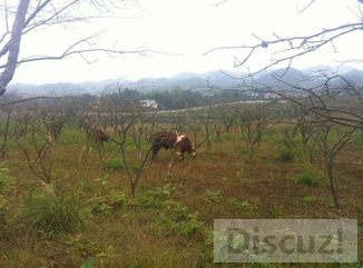 ������С QQ��ͼ20151130091123.png
