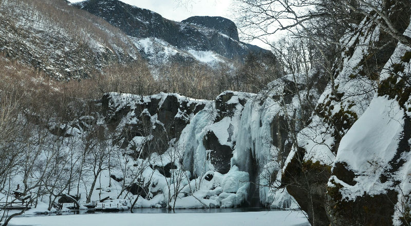 Fotor_145008167125952.jpg