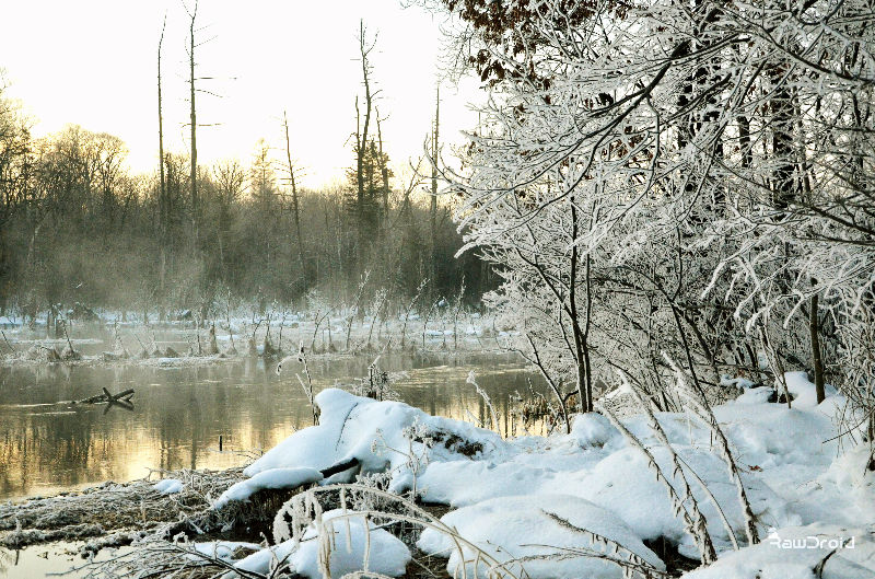 Fotor_145005296044352.jpg
