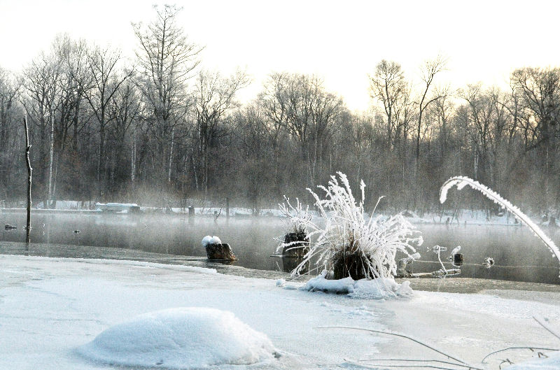 Fotor_145005458093780.jpg