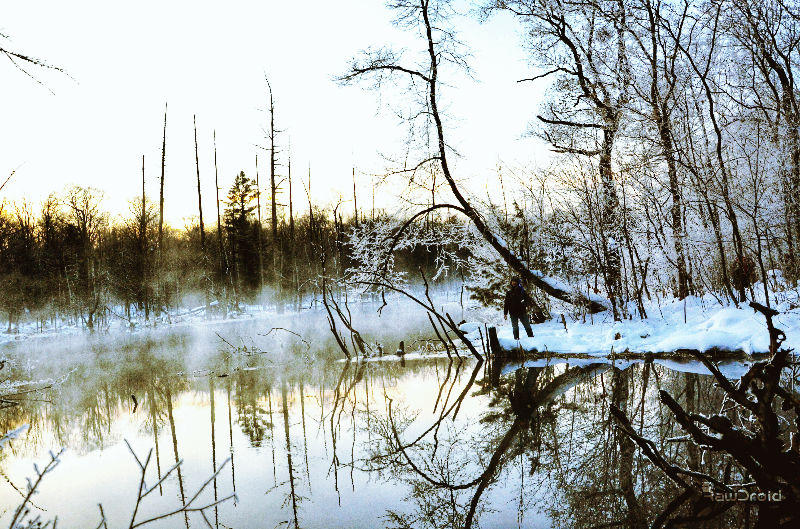 Fotor_145005422355118.jpg
