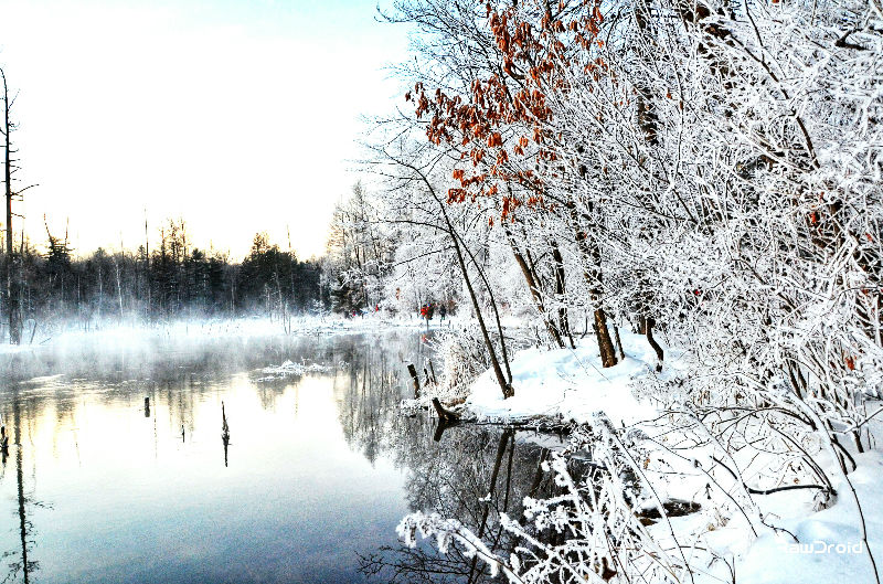 Fotor_145005382579732.jpg