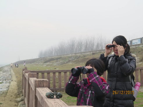 QQͼƬ20151230235601.png