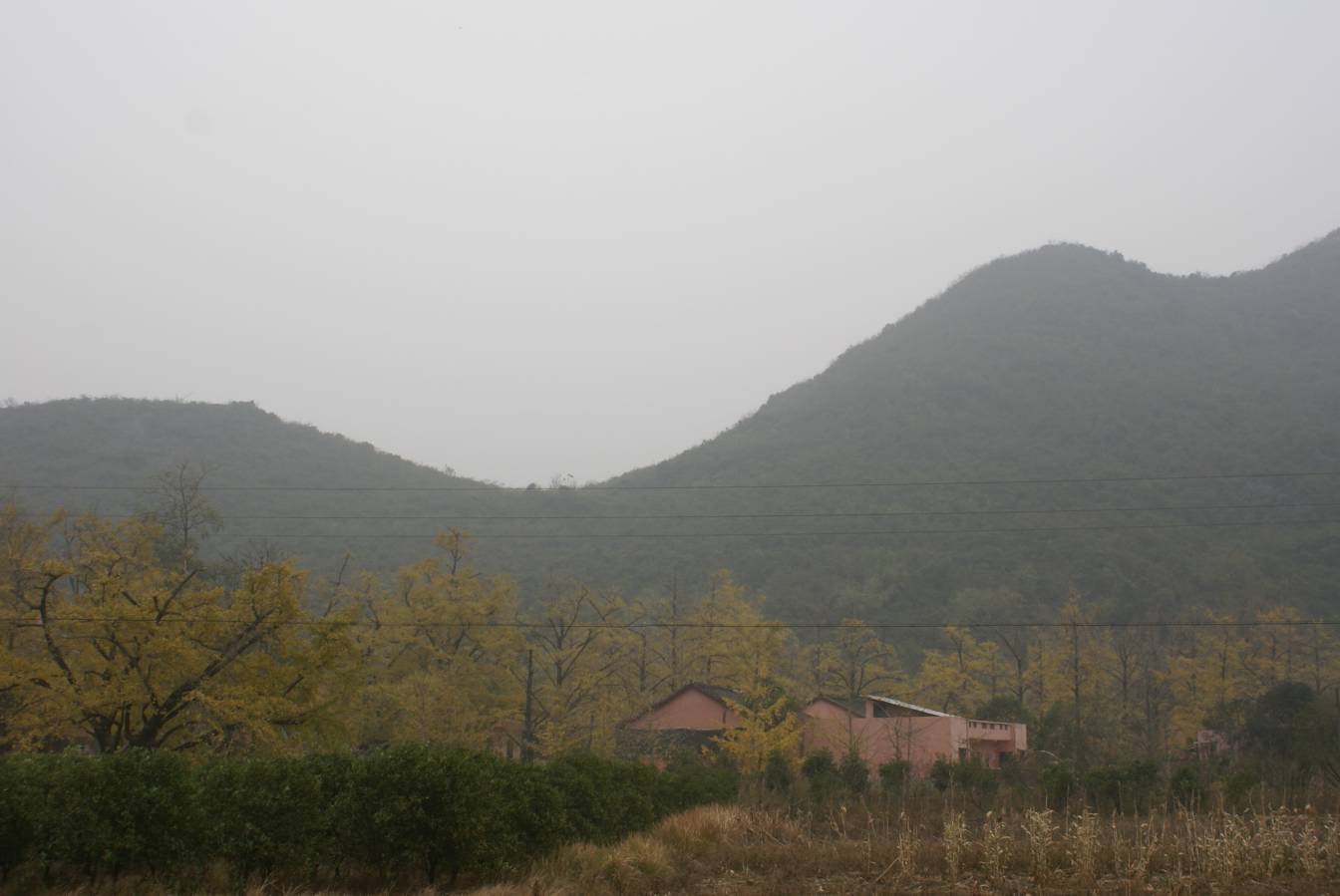 DSC07212.JPG