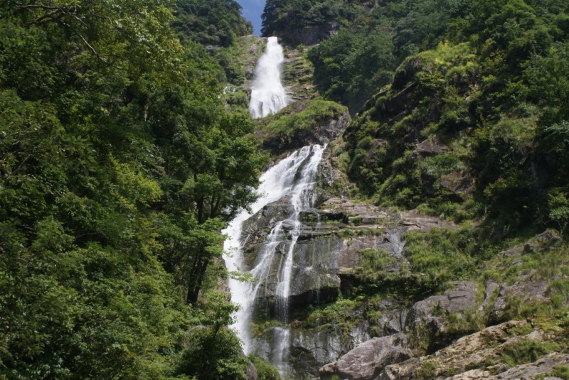 DSC06039.JPG