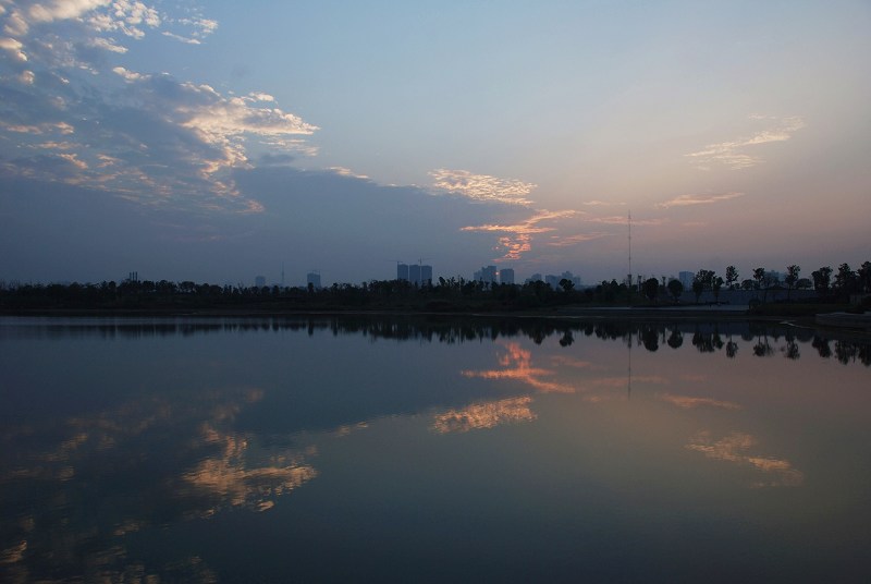 DSC_0451x.jpg