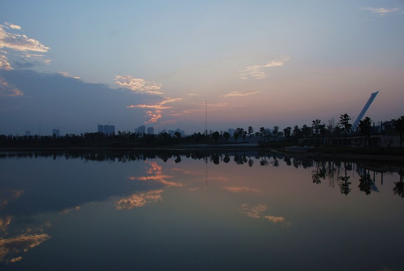 DSC_0453x.jpg
