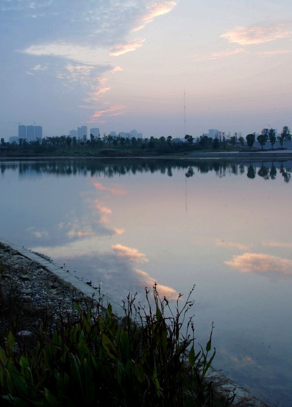DSC_0474x.jpg