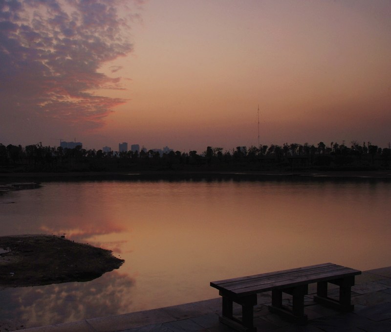 DSC_0510x.jpg